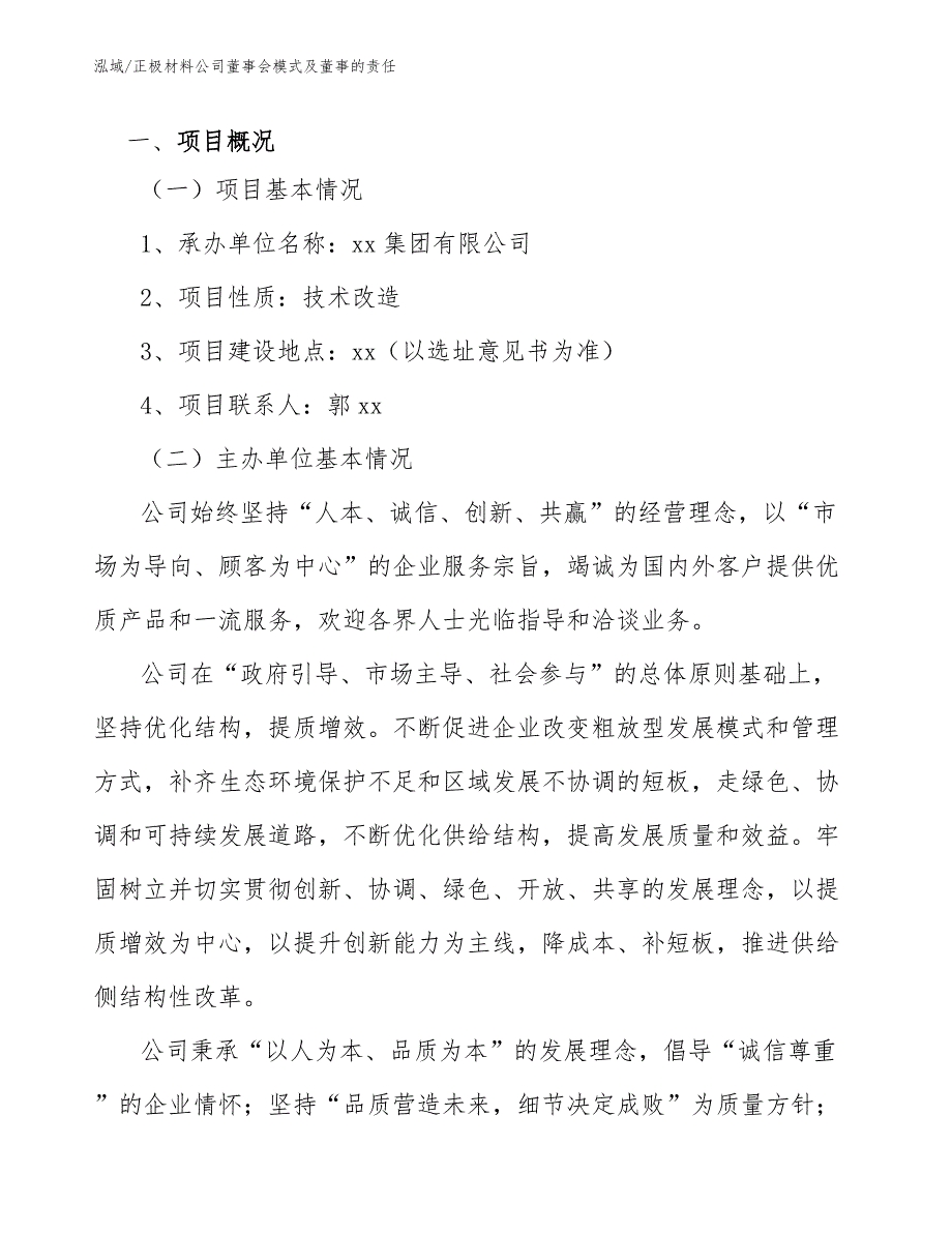 正极材料公司董事会模式及董事的责任（参考）_第3页