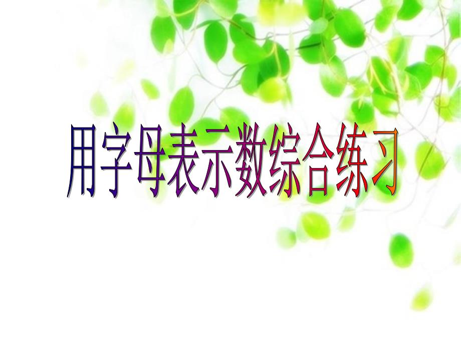 用字母表示数综合练习 (2)_第1页