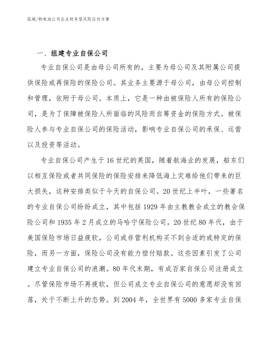 钠电池公司企业财务型风险应对方案_第2页