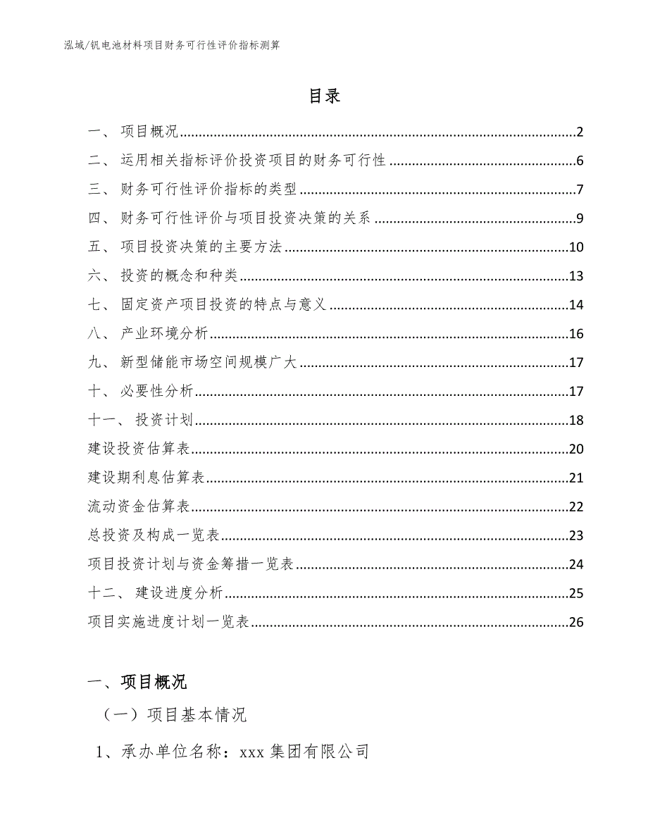 钒电池材料项目财务可行性评价指标测算_第2页