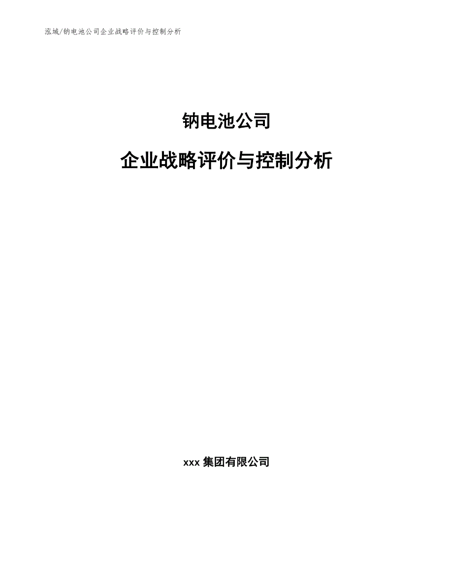 钠电池公司企业战略评价与控制分析【参考】_第1页