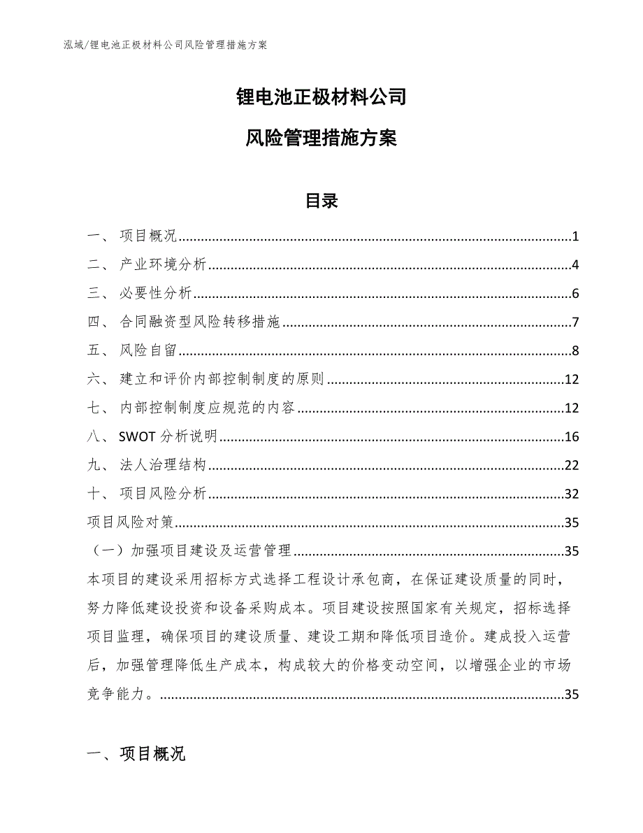 锂电池正极材料公司风险管理措施方案_第1页