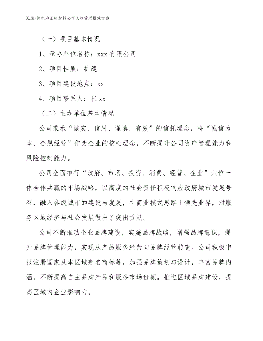 锂电池正极材料公司风险管理措施方案_第2页