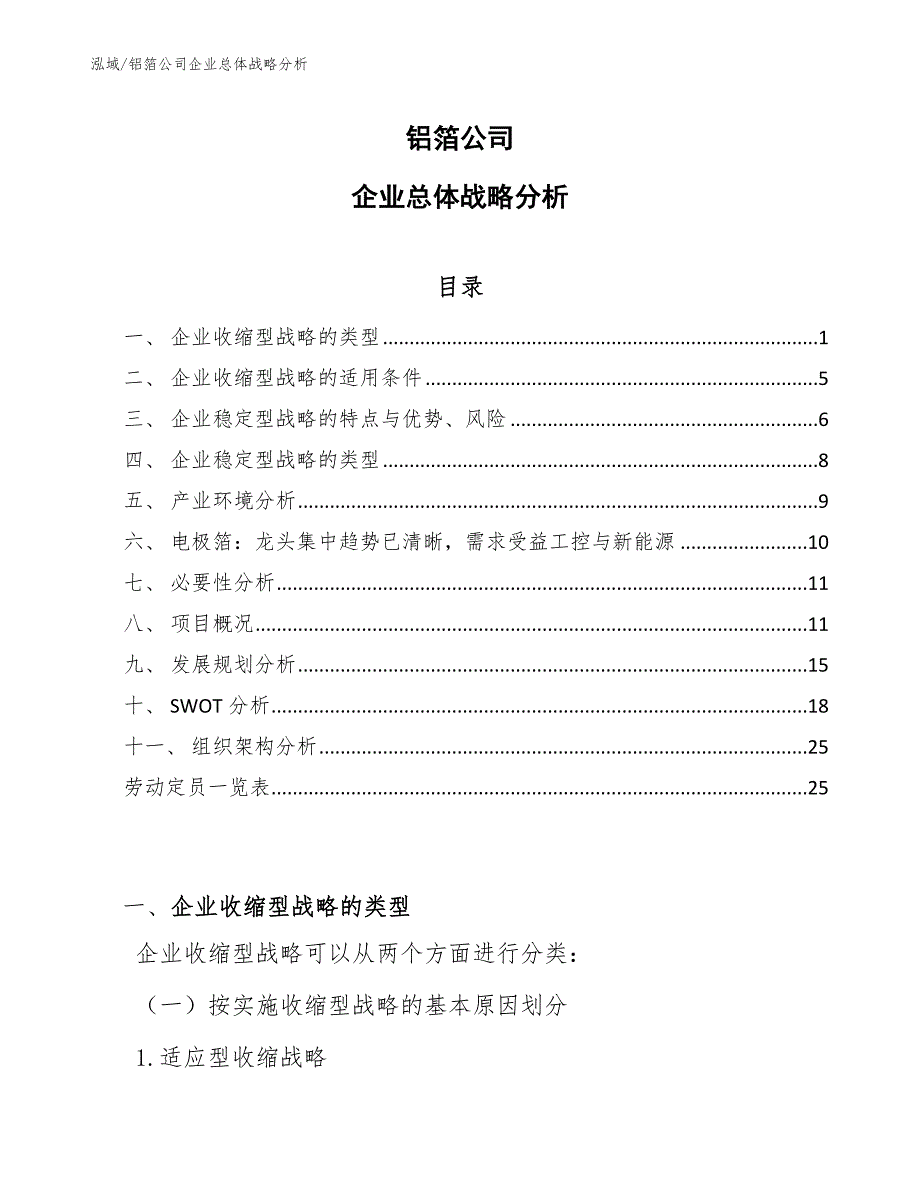 铝箔公司企业总体战略分析（参考）_第1页