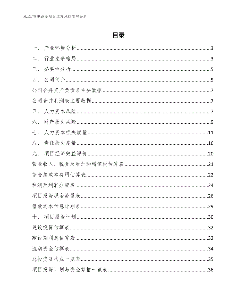 锂电设备项目纯粹风险管理分析【范文】_第2页