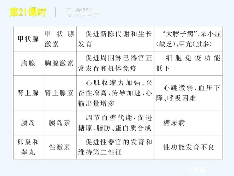 2011届中考生物复习方案 第21课时神经调节与激素调节课件 人教新课标版_第5页