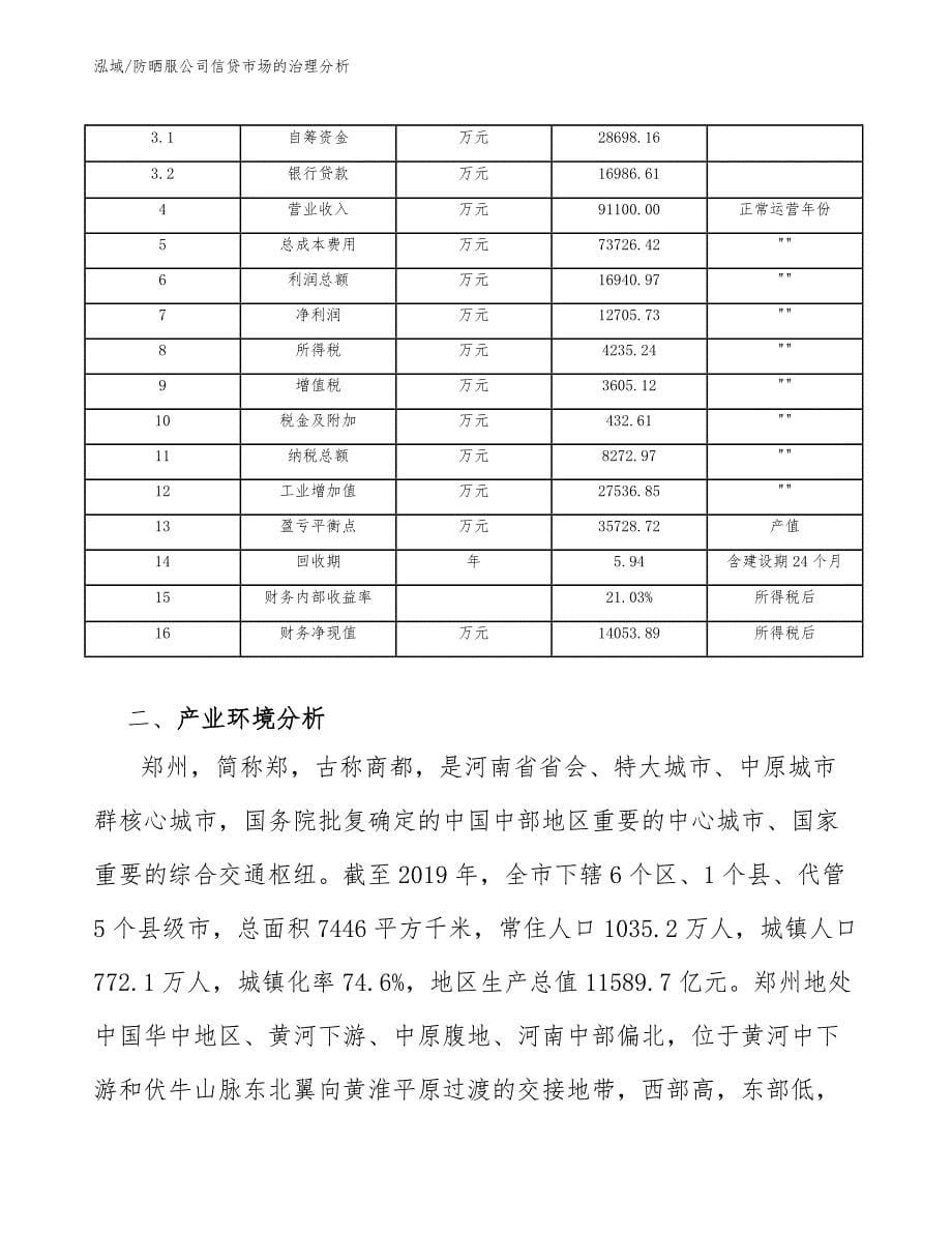 防晒服公司信贷市场的治理分析_第5页