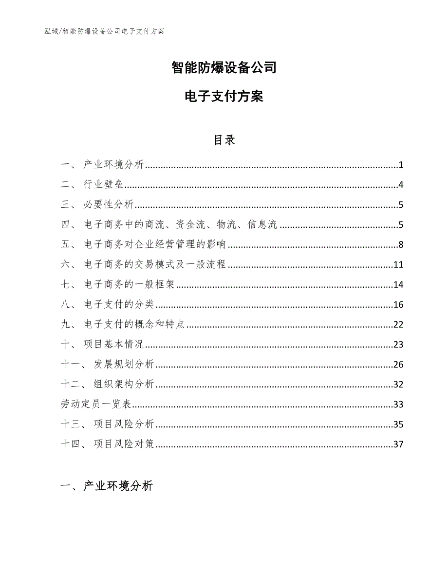 智能防爆设备公司电子支付方案【范文】_第1页