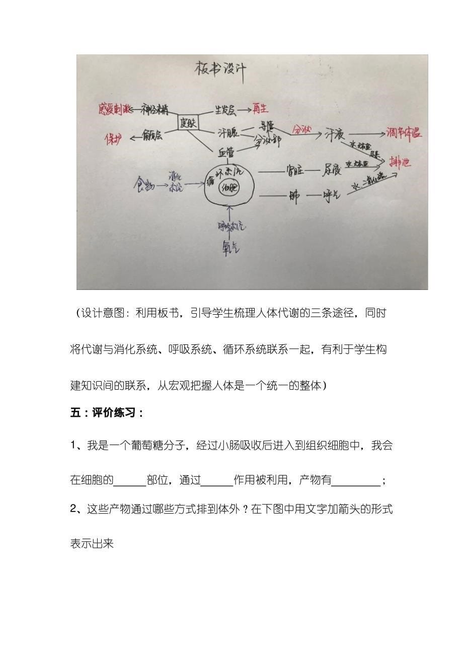 初中生物《汗液的形成和排出(1)(1)》优质课教案、教学设计_第5页