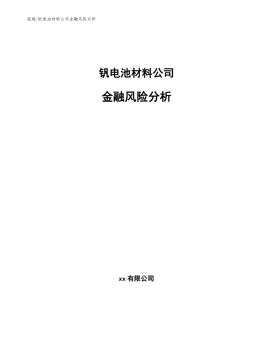 钒电池材料公司金融风险分析【范文】_第1页