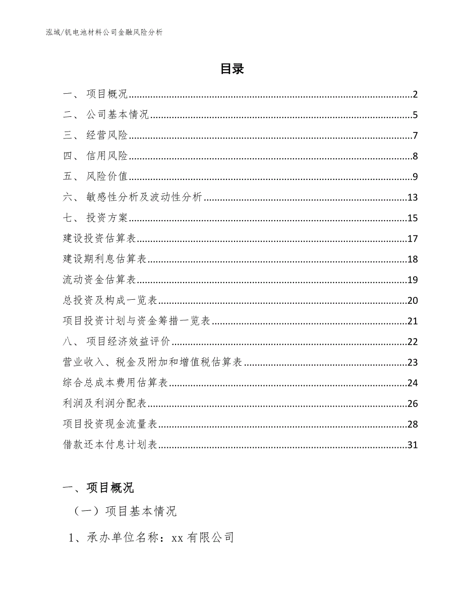 钒电池材料公司金融风险分析【范文】_第2页