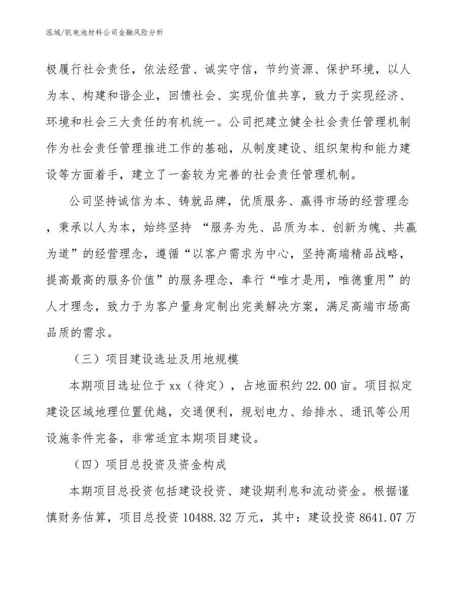 钒电池材料公司金融风险分析【范文】_第4页