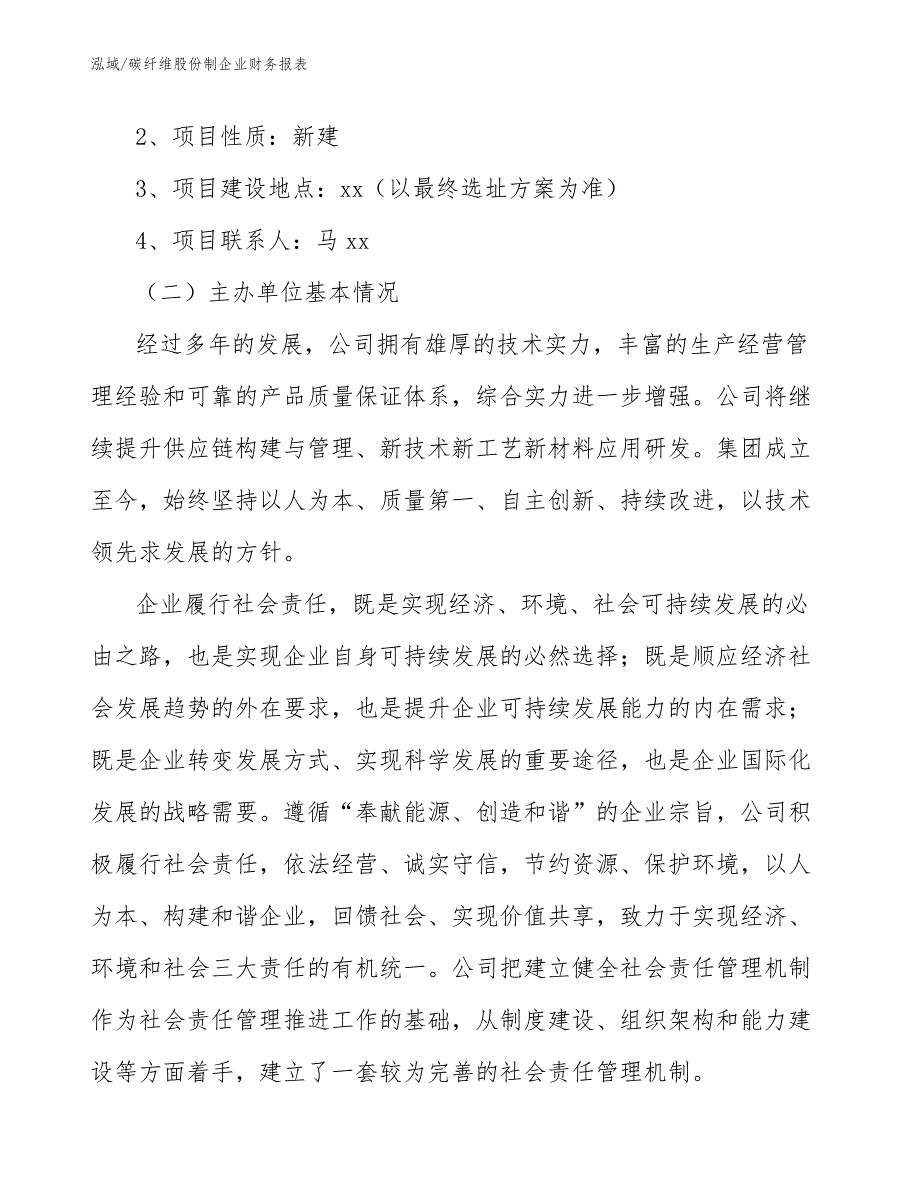 碳纤维股份制企业财务报表_参考_第2页