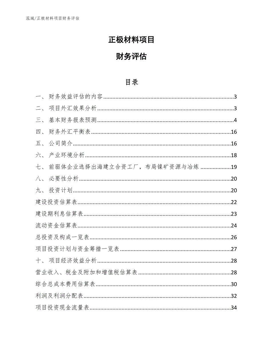 正极材料项目财务评估（参考）_第1页