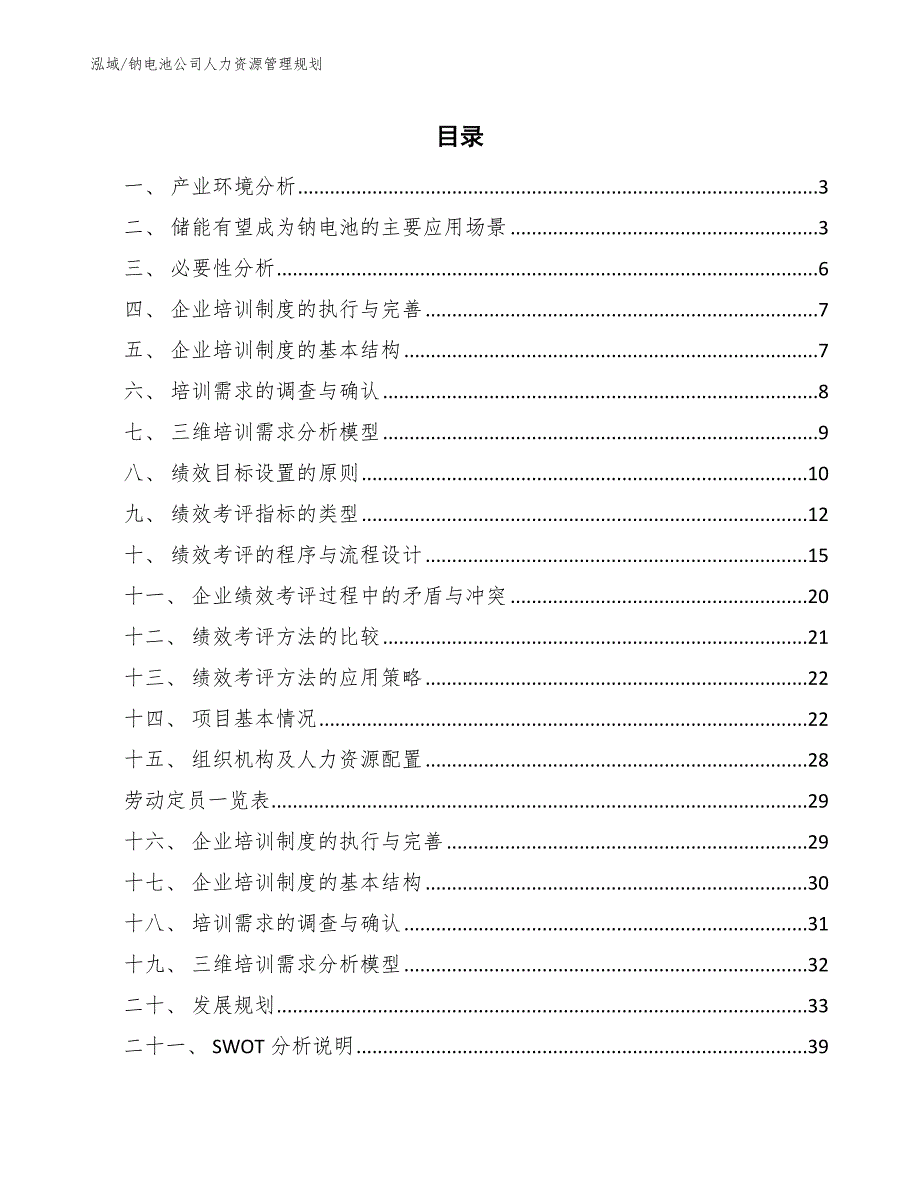 钠电池公司人力资源管理规划【范文】_第2页