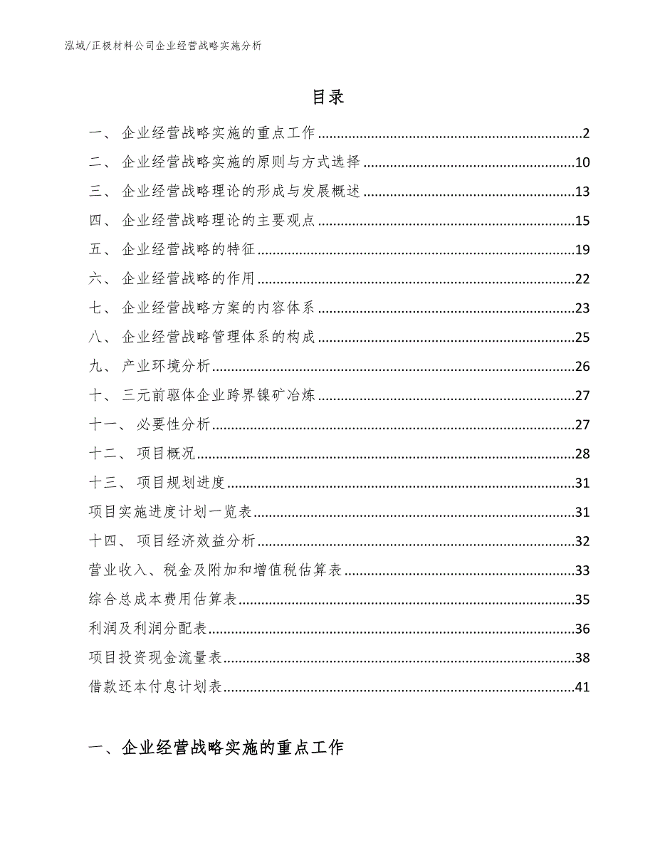 正极材料公司企业经营战略实施分析【参考】_第2页