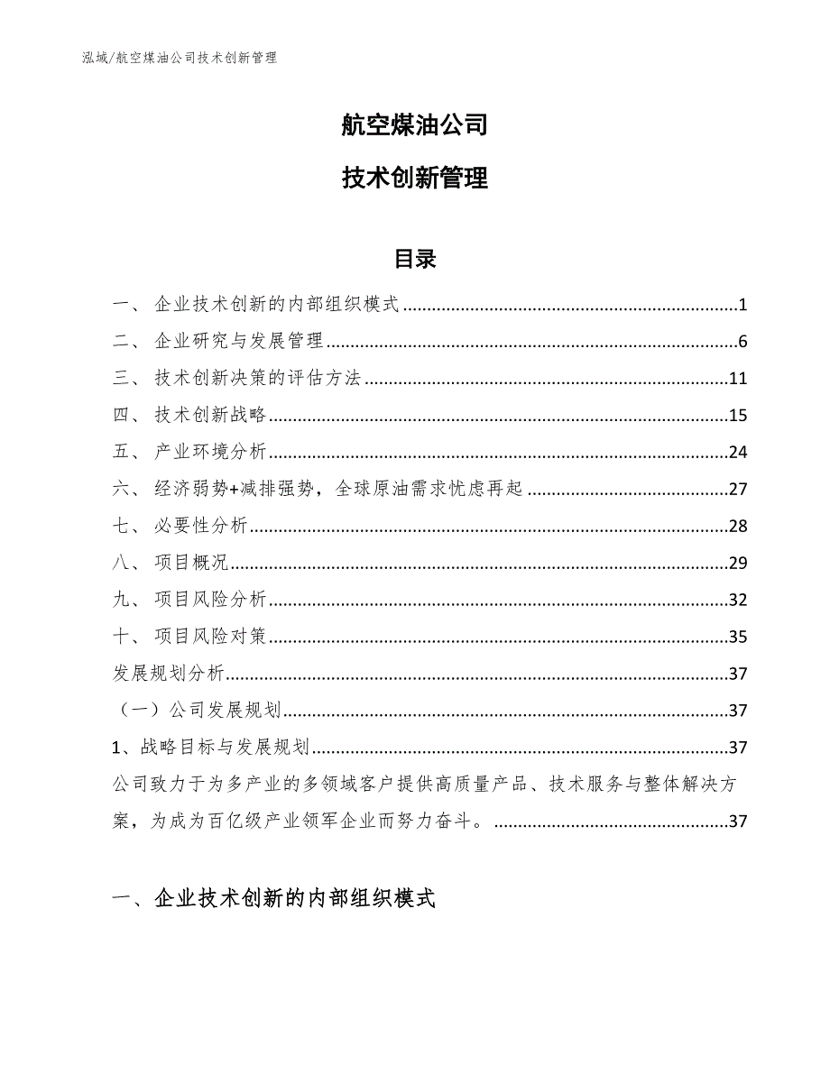 航空煤油公司技术创新管理_第1页