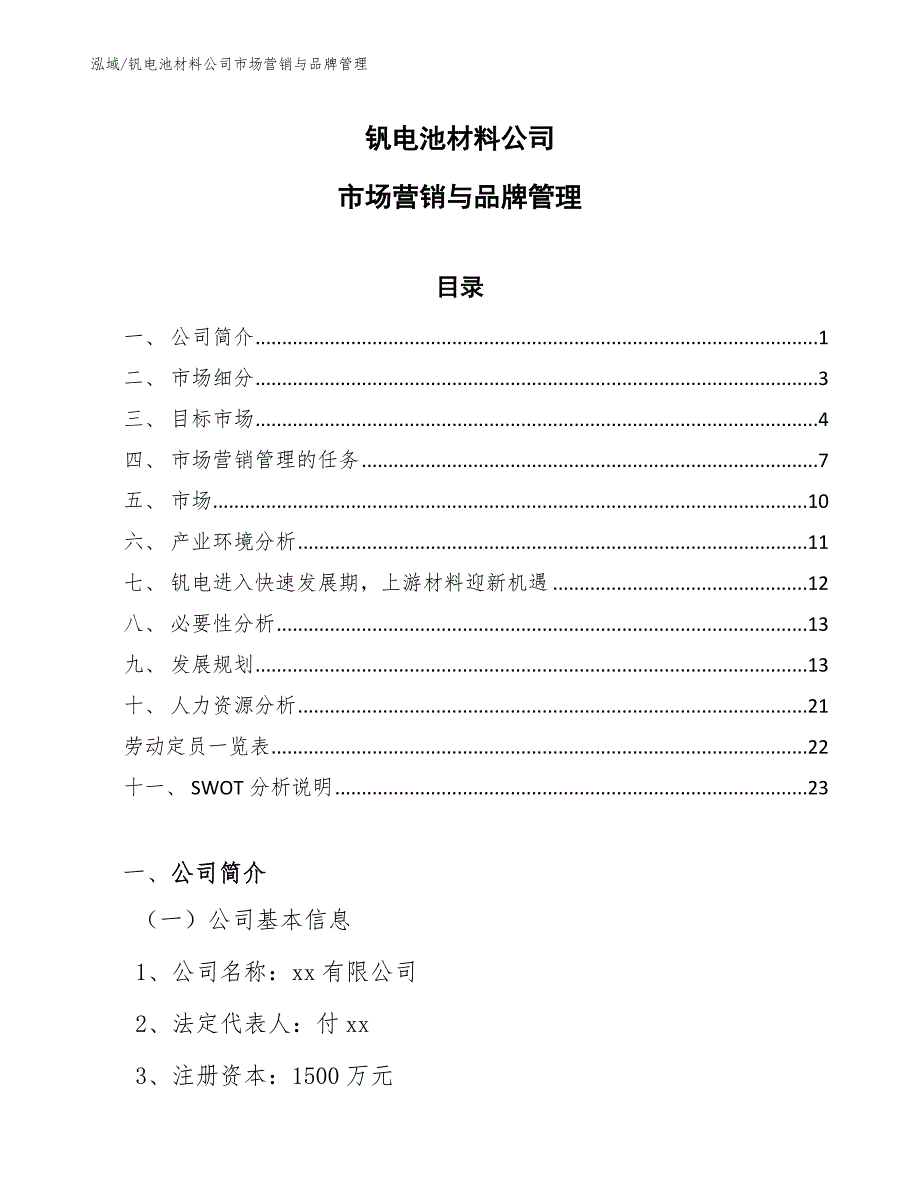 钒电池材料公司市场营销与品牌管理_第1页