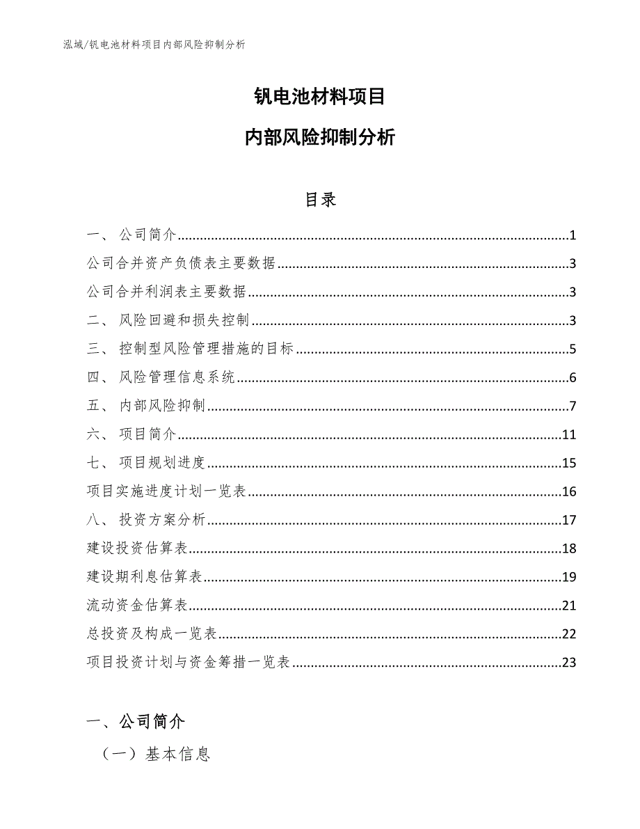 钒电池材料项目内部风险抑制分析_参考_第1页