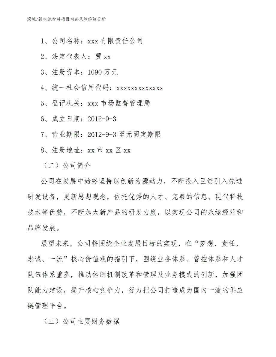 钒电池材料项目内部风险抑制分析_参考_第2页