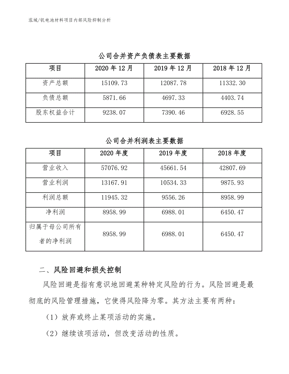 钒电池材料项目内部风险抑制分析_参考_第3页