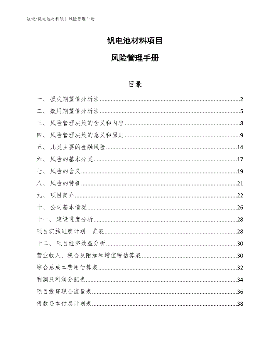 钒电池材料项目风险管理手册_参考_第1页