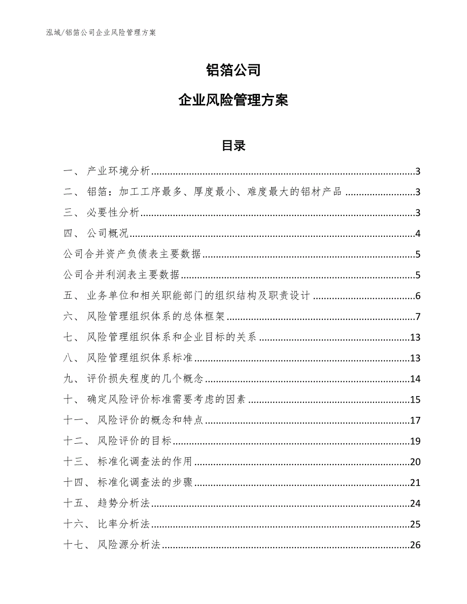 铝箔公司企业风险管理方案（参考）_第1页