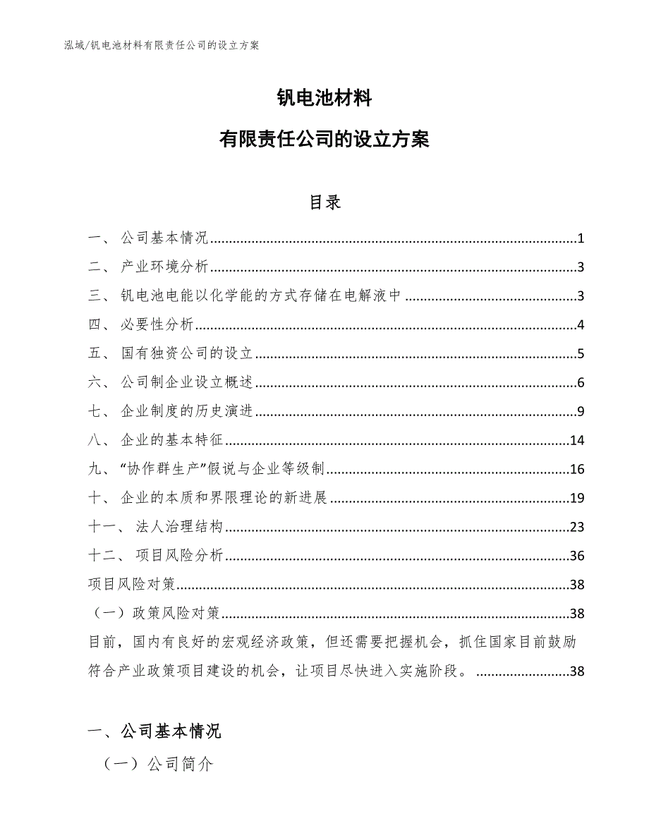 钒电池材料有限责任公司的设立方案（参考）_第1页