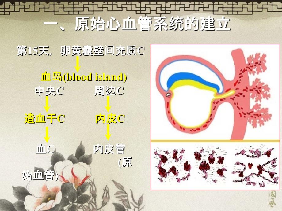 心脏发生ppt课件_第4页