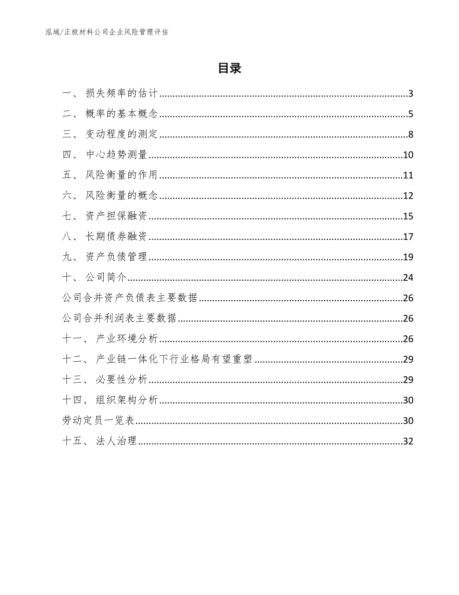 正极材料公司企业风险管理评估（参考）_第2页