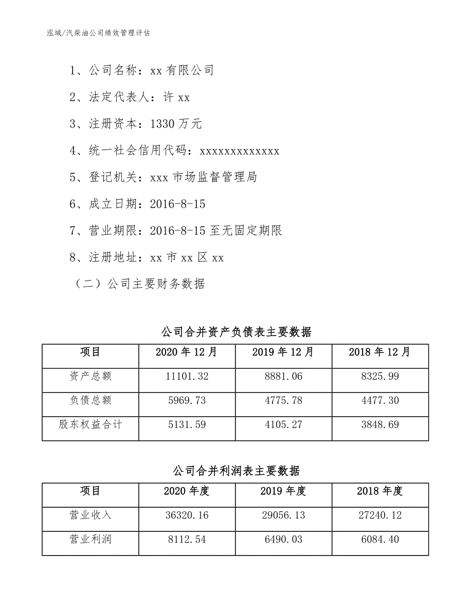 汽柴油公司绩效管理评估（参考）_第2页