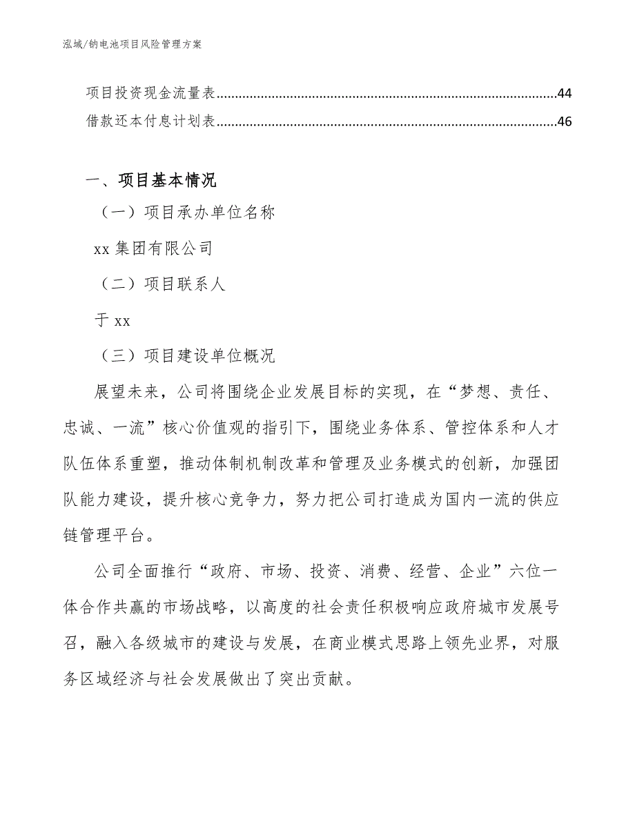 钠电池项目风险管理方案_范文_第2页