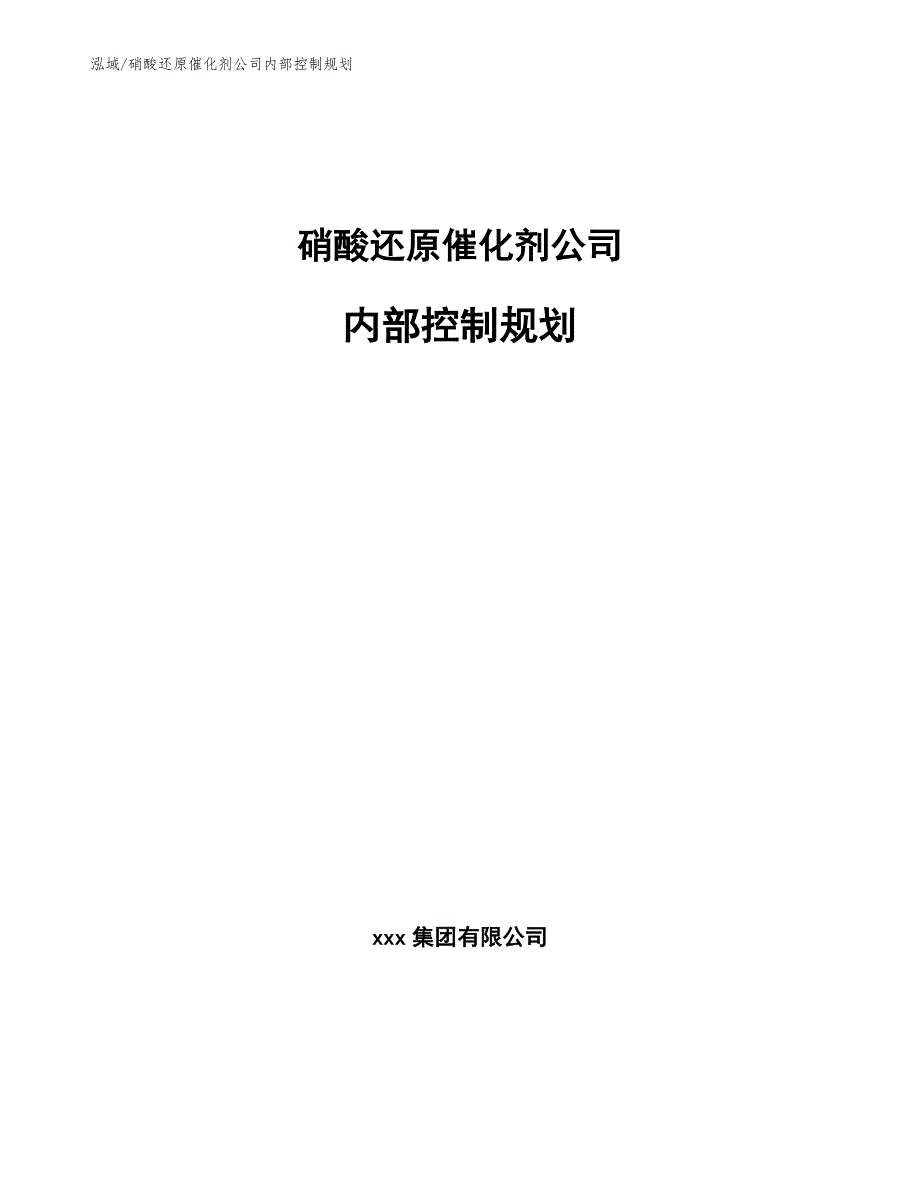 硝酸还原催化剂公司内部控制规划（参考）_第1页