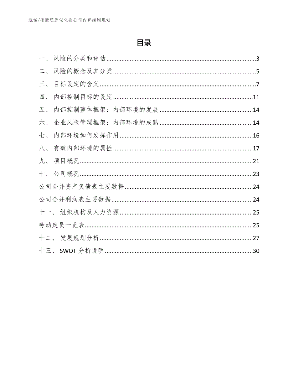 硝酸还原催化剂公司内部控制规划（参考）_第2页