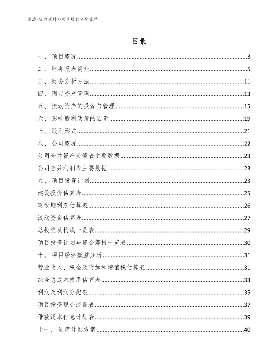 钒电池材料项目股利分配管理（参考）_第2页