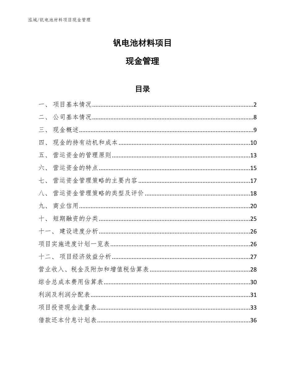 钒电池材料项目现金管理_第1页