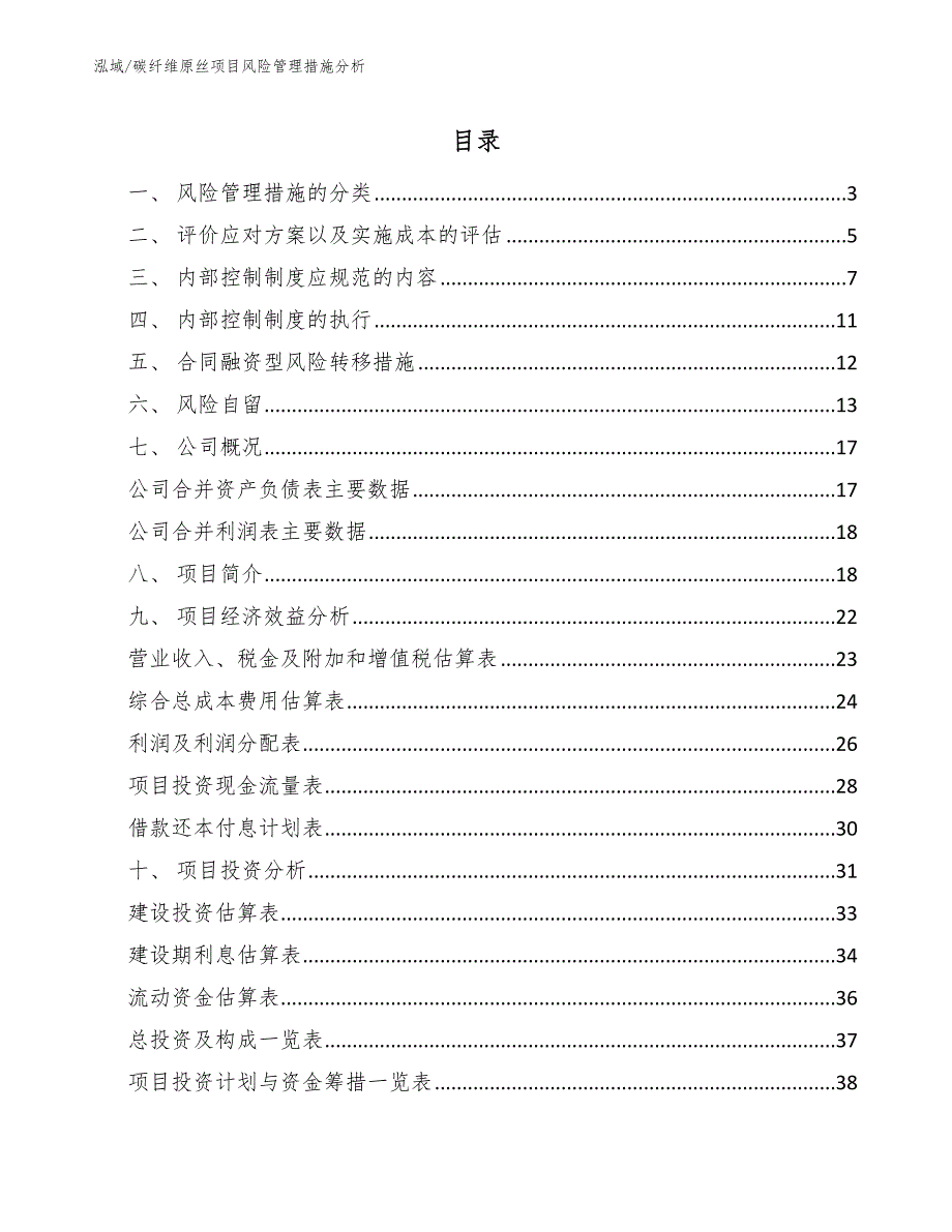 碳纤维原丝项目风险管理措施分析【参考】_第2页