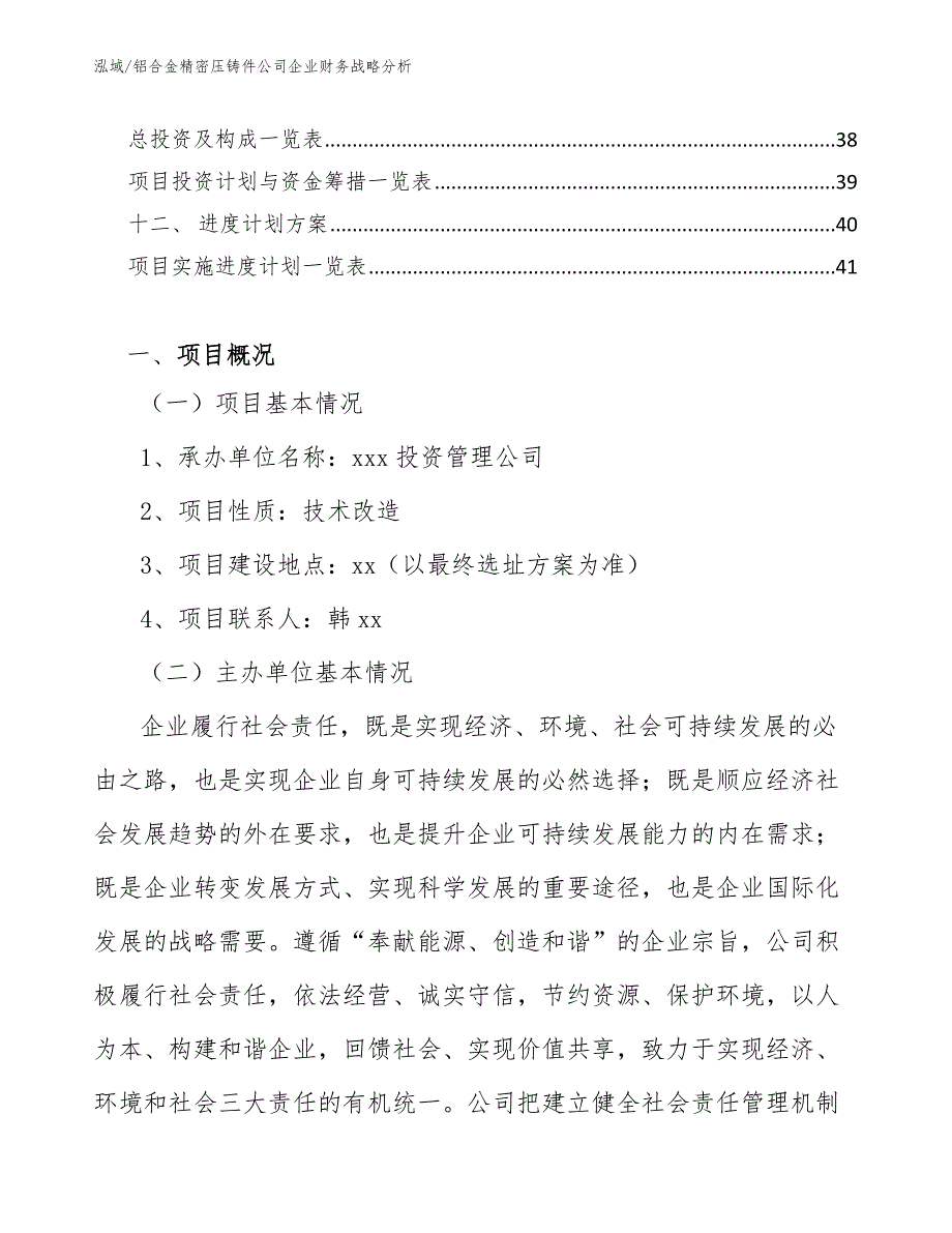 铝合金精密压铸件公司企业财务战略分析（参考）_第2页