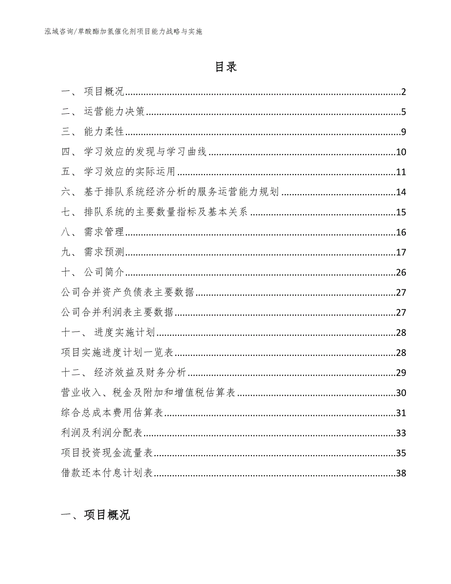 草酸酯加氢催化剂项目能力战略与实施【参考】_第2页