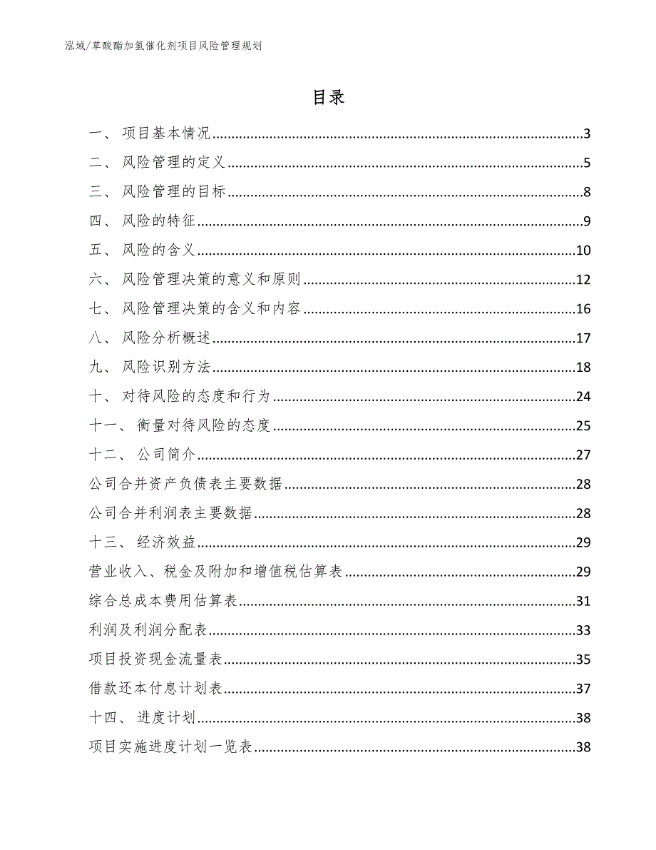 草酸酯加氢催化剂项目风险管理规划（范文）_第2页