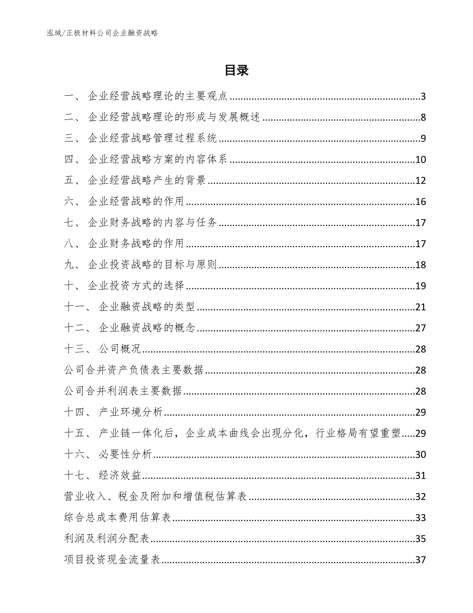 正极材料公司企业融资战略（范文）_第2页