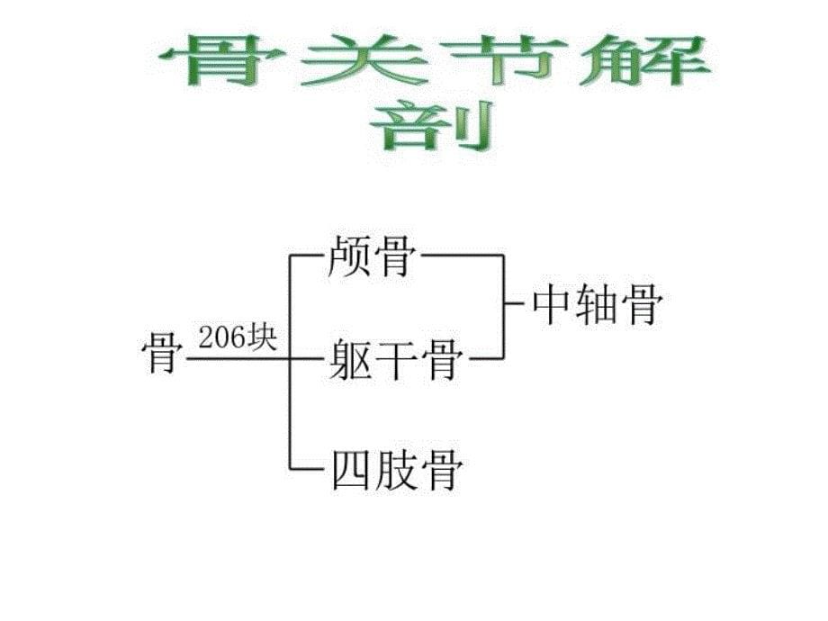 骨与关节损伤病人的护理1教学课件_第5页