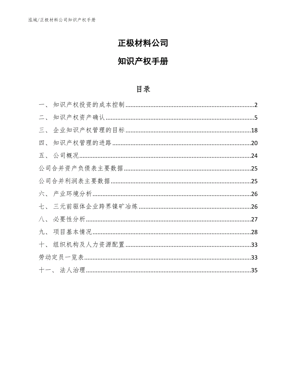 正极材料公司知识产权手册【范文】_第1页