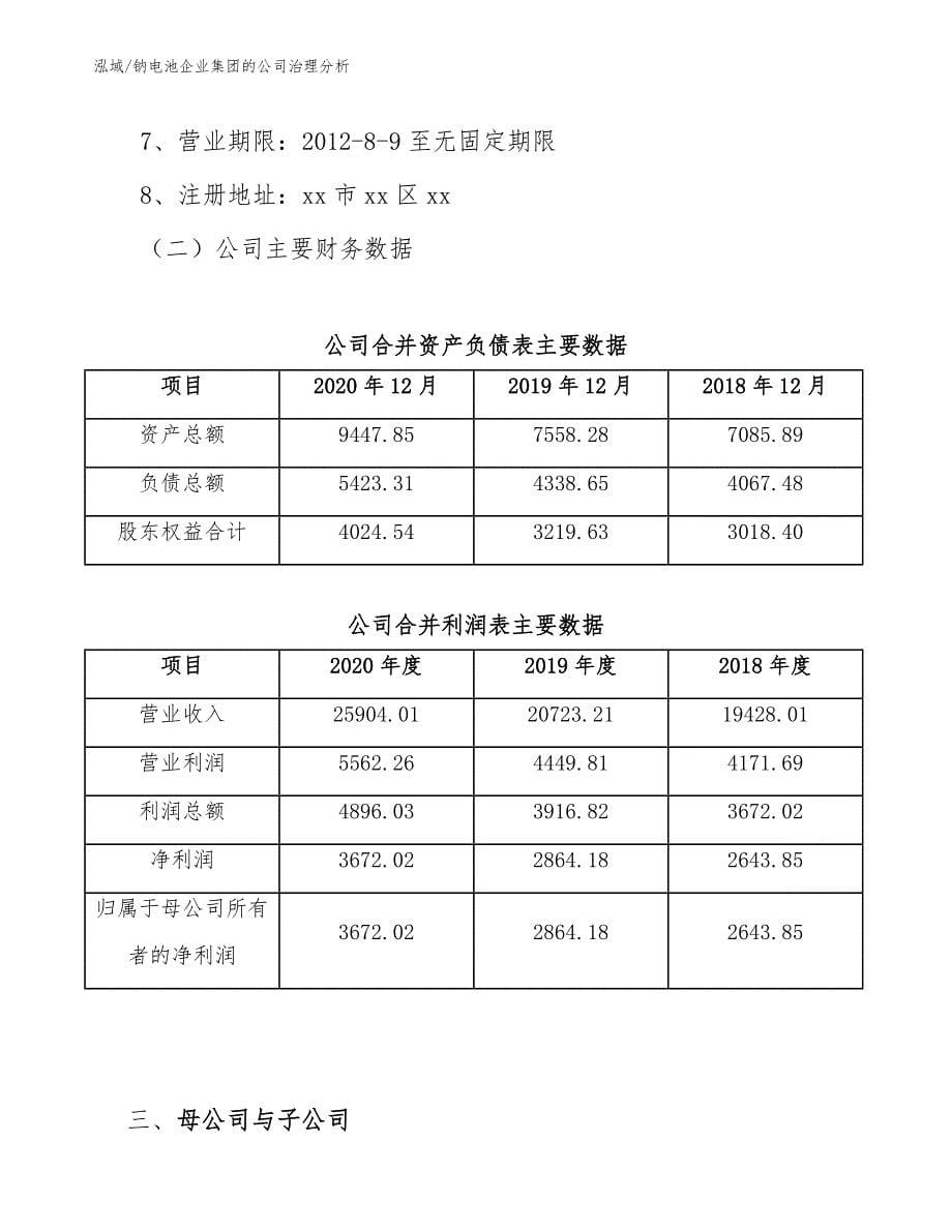 钠电池企业集团的公司治理分析【参考】_第5页