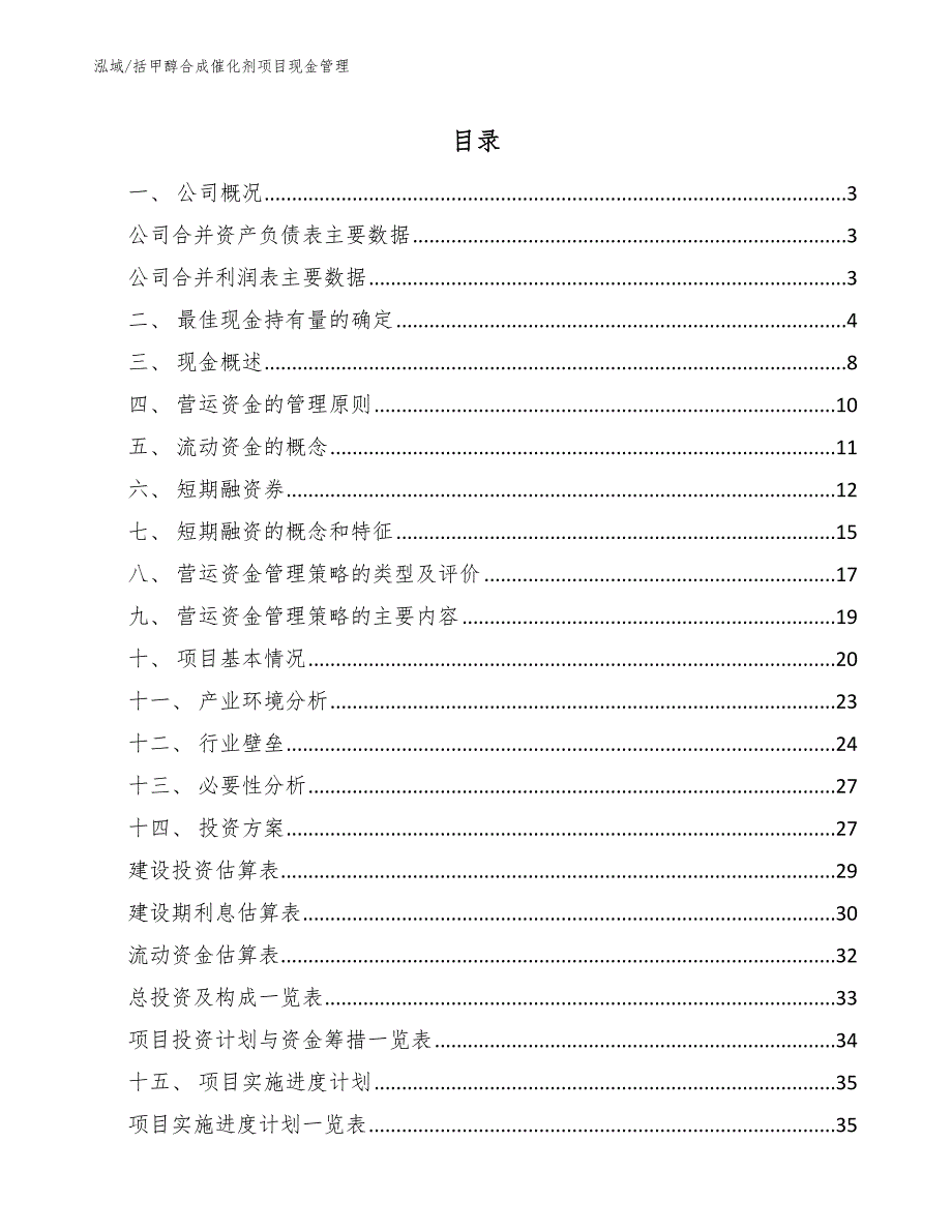 括甲醇合成催化剂项目现金管理【参考】_第2页