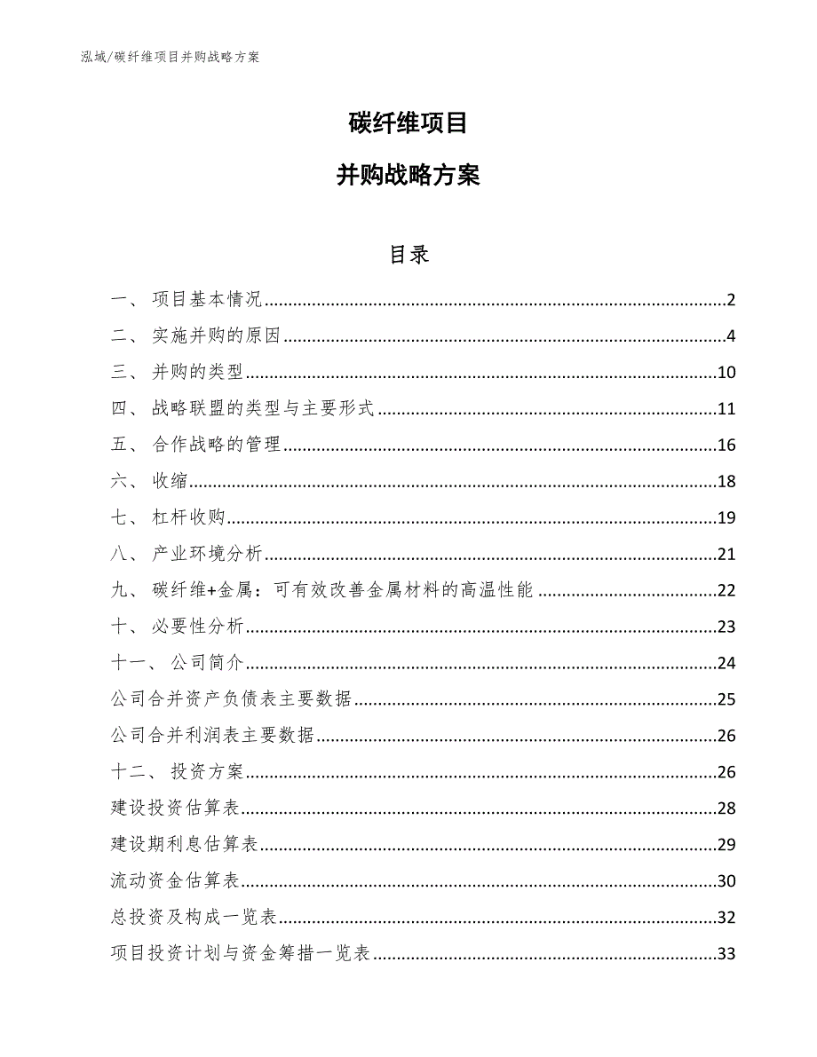 碳纤维项目并购战略方案_第1页