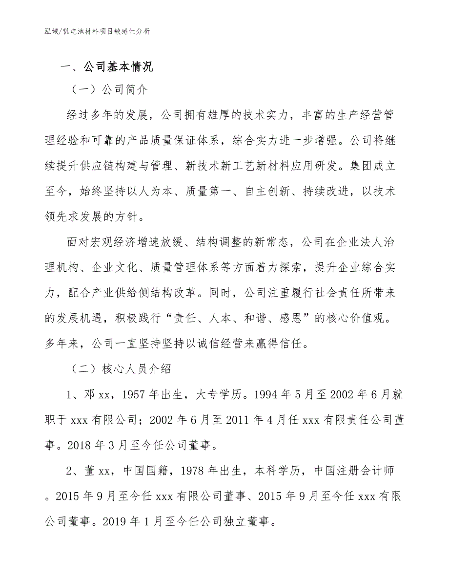 钒电池材料项目敏感性分析（范文）_第3页