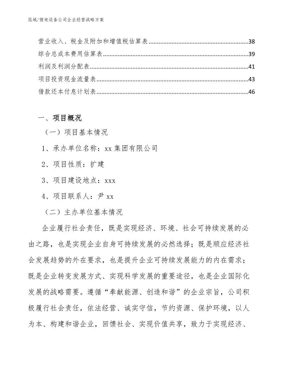 锂电设备公司企业经营战略方案_参考_第2页