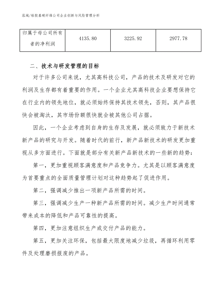 粘胶基碳纤维公司企业创新与风险管理分析【参考】_第4页