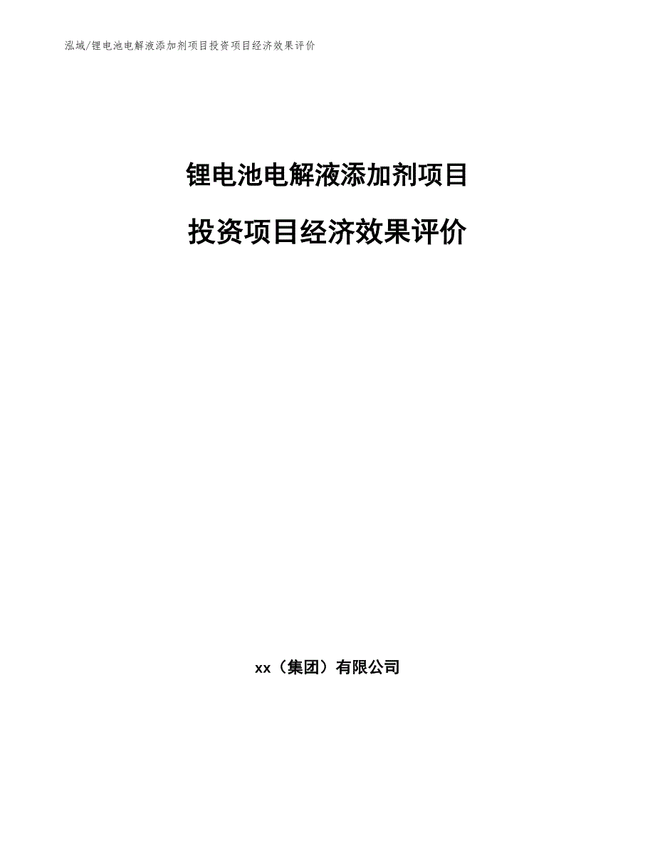 锂电池电解液添加剂项目投资项目经济效果评价（范文）_第1页